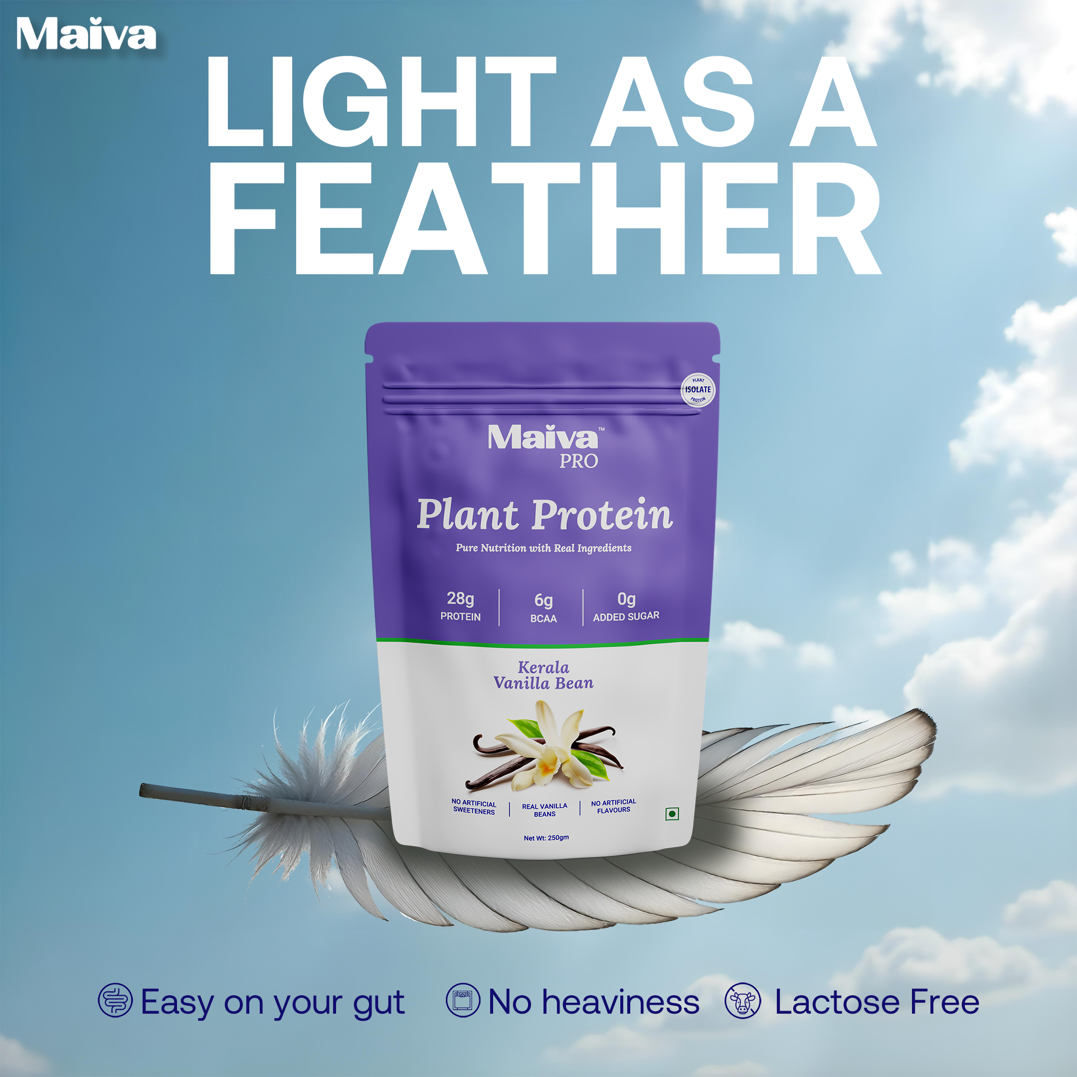  Plant Protein Powder -  Kerala Vanilla Bean (value pack) - light